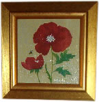 Fleurs de Coqueliquots